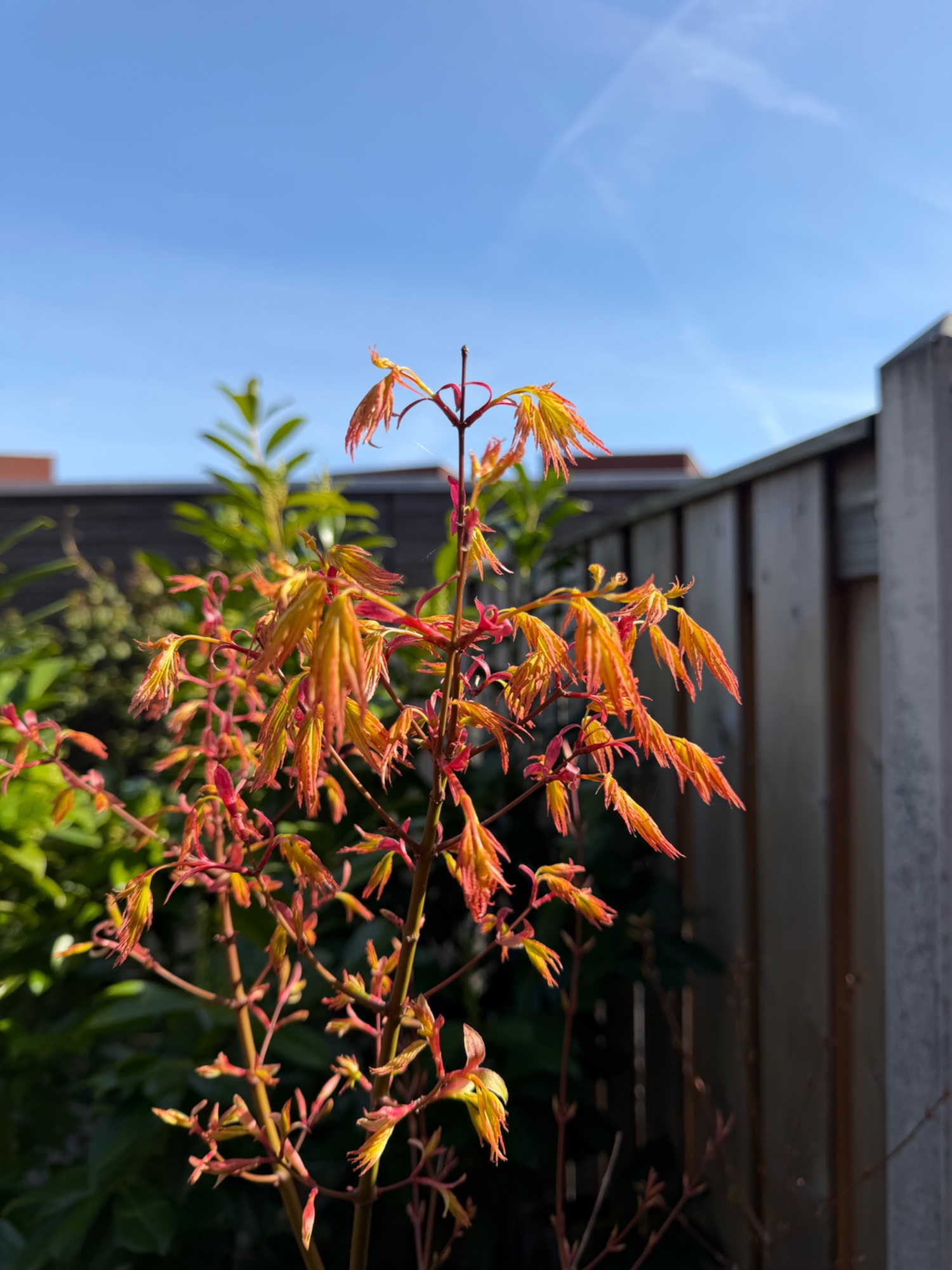 Ndjdjjdjd er. E e s s d. D d r endjdhhd