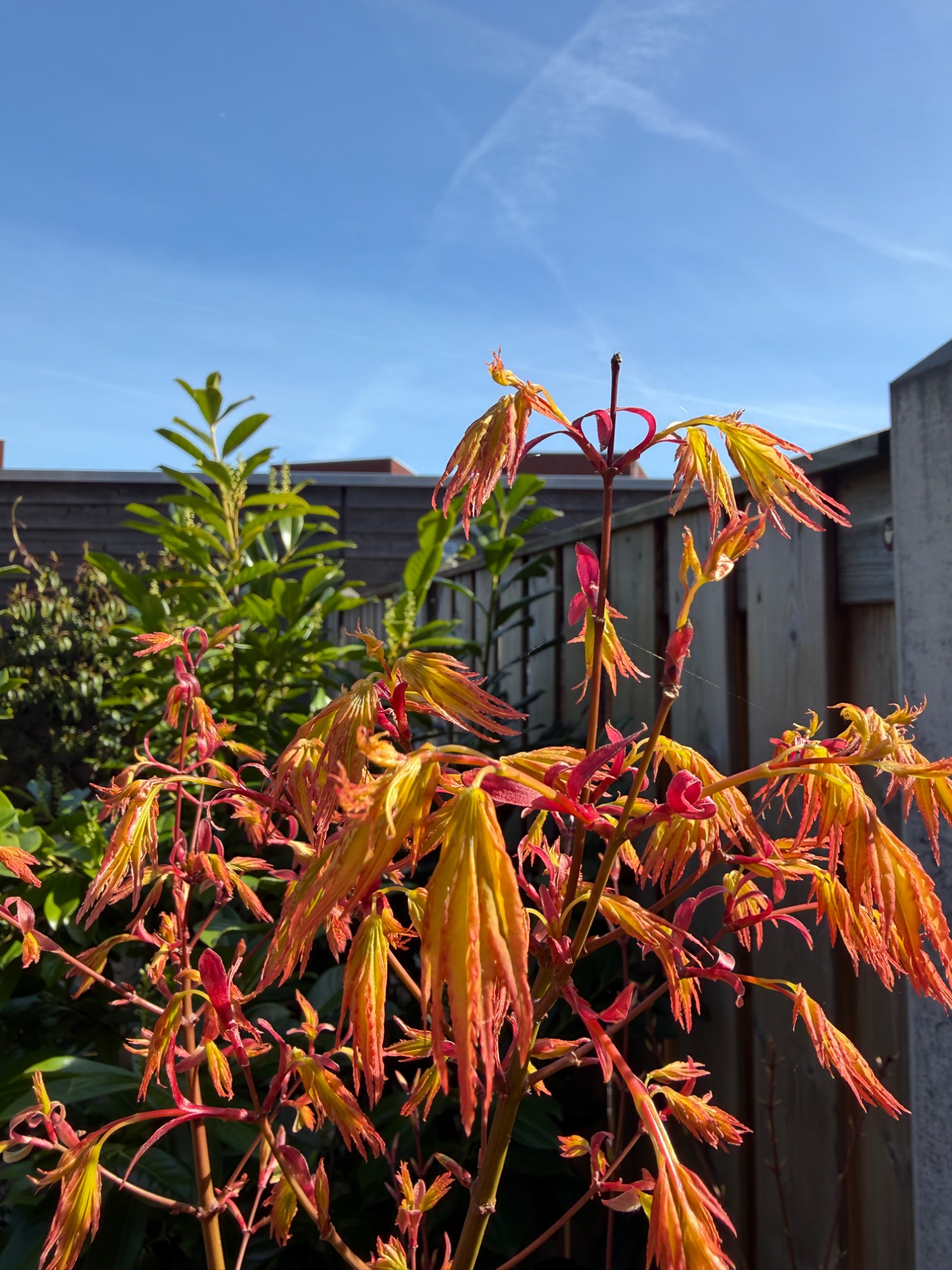 Jdjjdjdjdd d d f. F f f ff